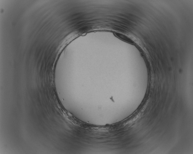 X0000087311145200705180939