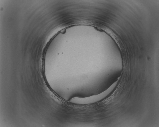 X0000087311147200705180939