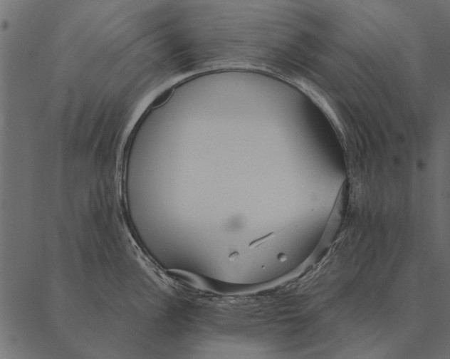 X0000087311148200705180939