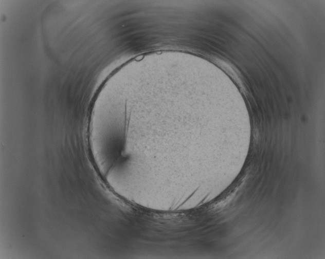 X0000087311149200705180939