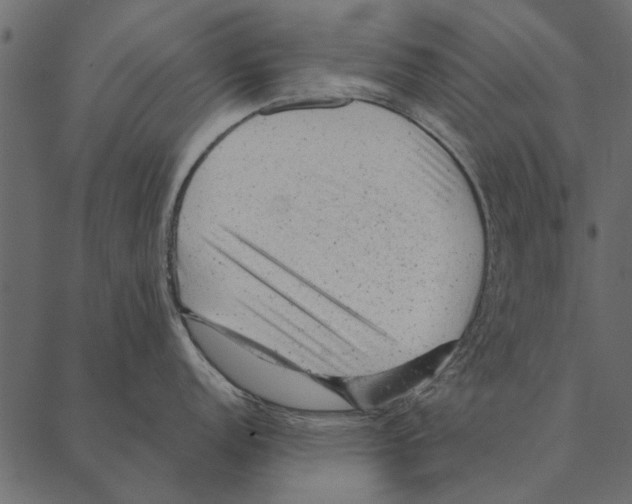 X0000087311152200705180939