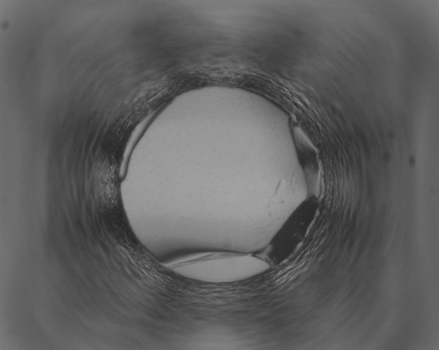 X0000087311156200705180939