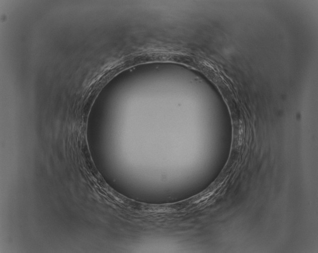 X0000087311157200705180939