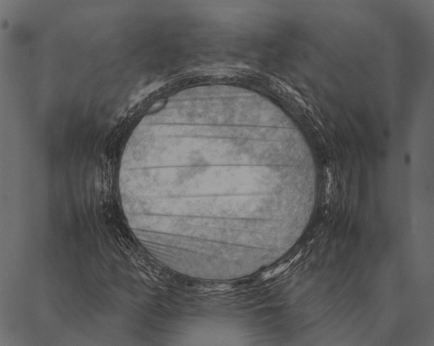 X0000087311158200705180939