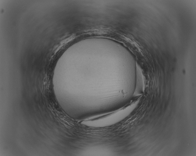 X0000087311160200705180939