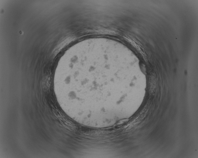 X0000087311163200705180938