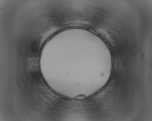 X0000087311164200705180938