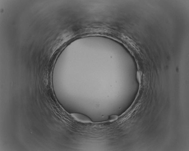 X0000087311165200705180938