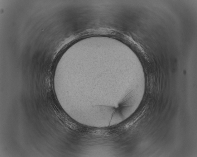 X0000087311166200705180938