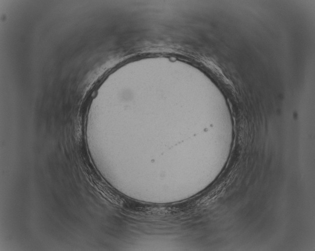 X0000087311167200705180938