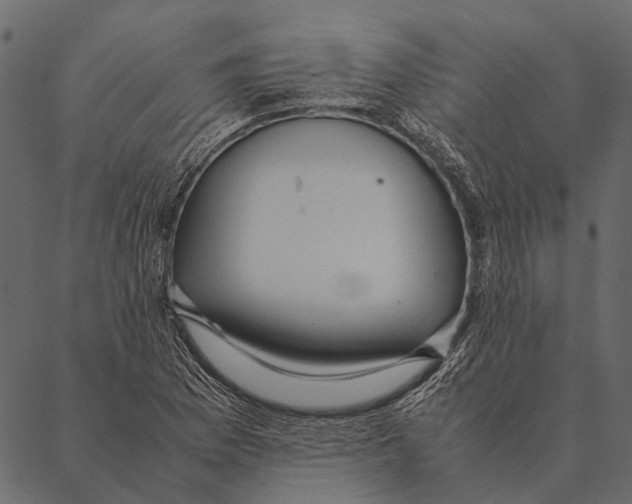 X0000087311169200705180938