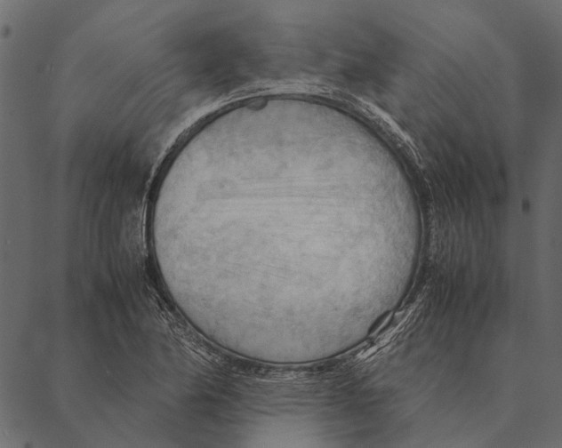 X0000087311174200705180938