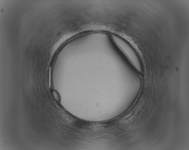 X0000087311175200705180938