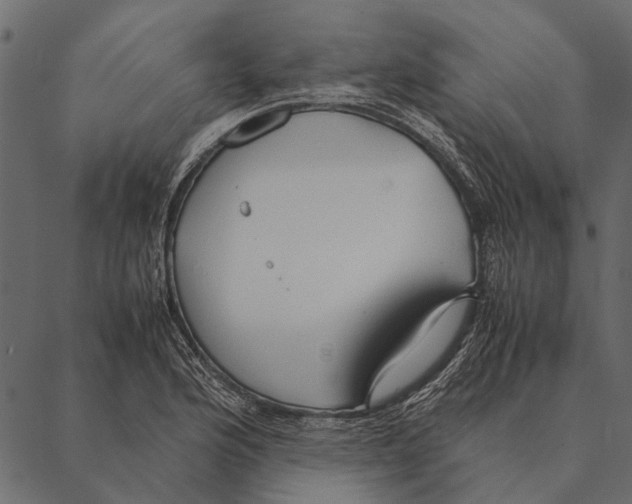 X0000087311176200705180938