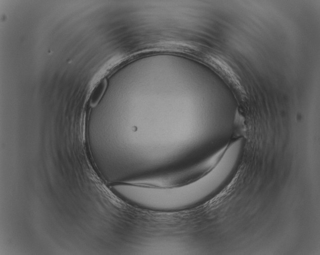 X0000087311180200705180938