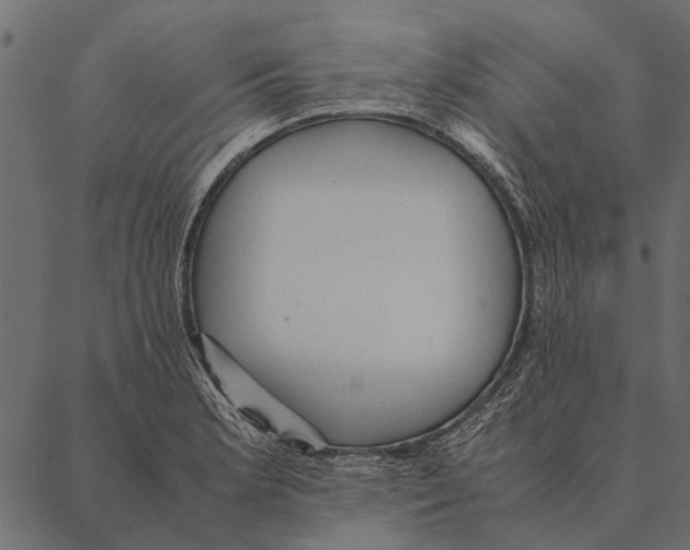 X0000087311181200705180938