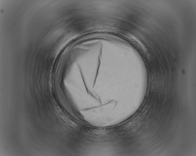 X0000087311182200705180938