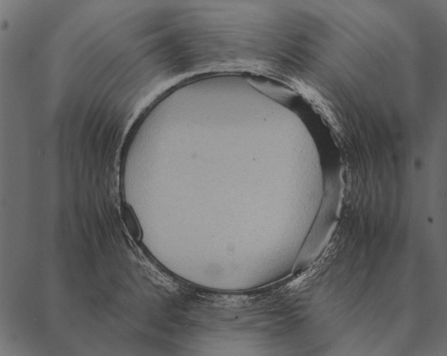 X0000087311184200705180938