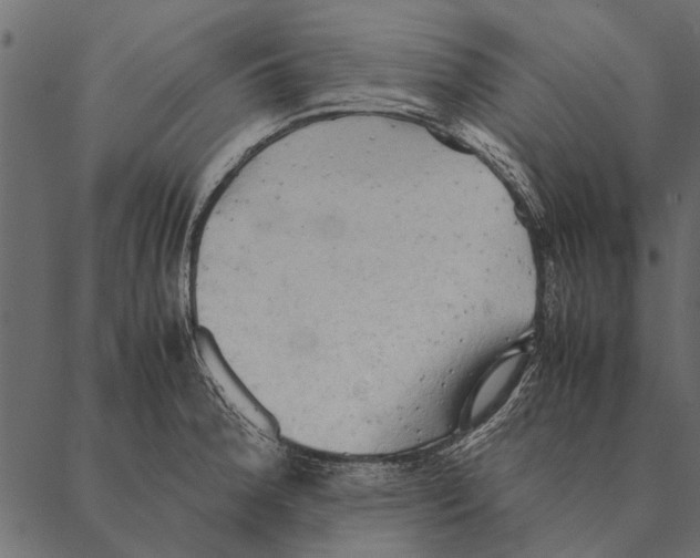 X0000087311188200705180938