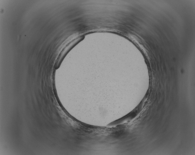 X0000087311189200705180938