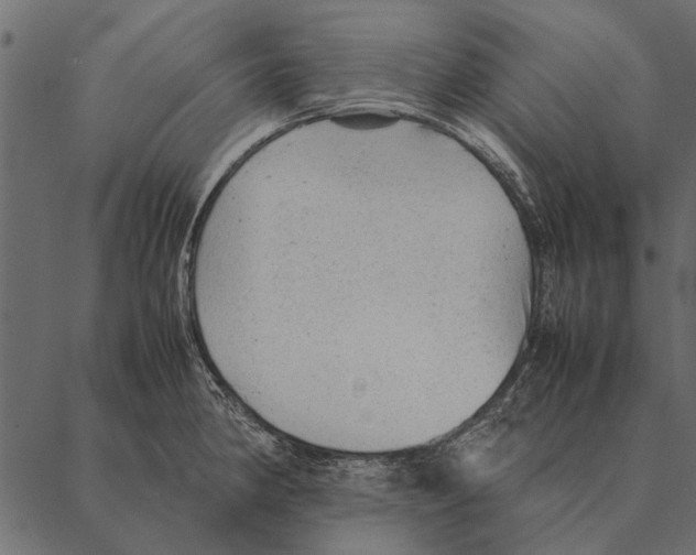 X0000087311190200705180938