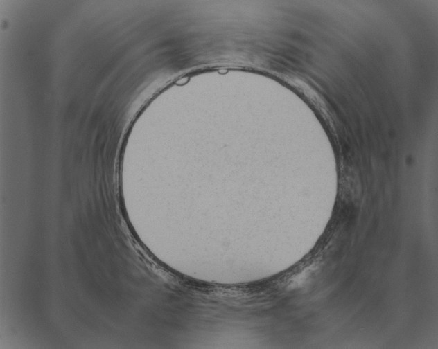 X0000087311191200705180938