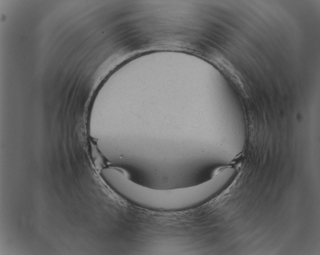 X0000087311192200705180938