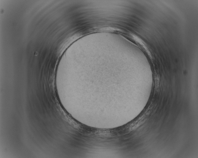 X0000087311194200705180938