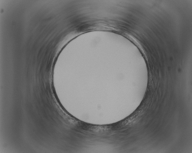 X0000087311195200705180938