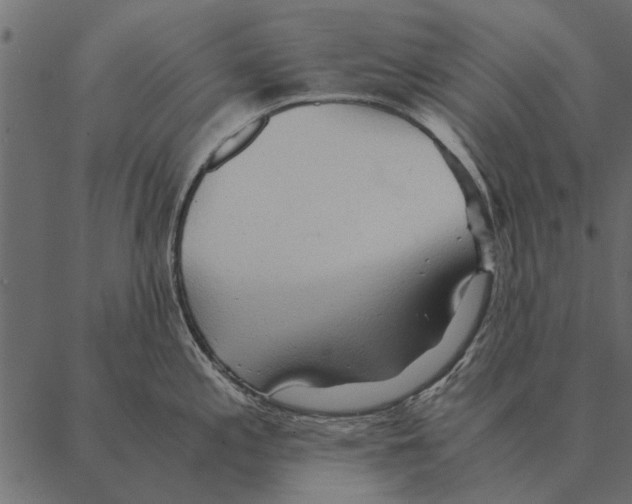 X0000087311197200705180938