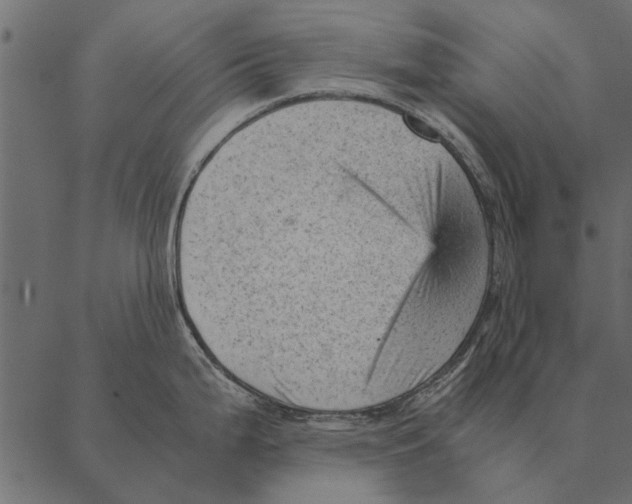 X0000087311199200705180938