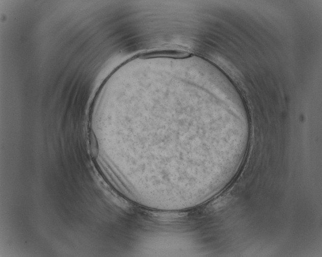 X0000087311200200705180938