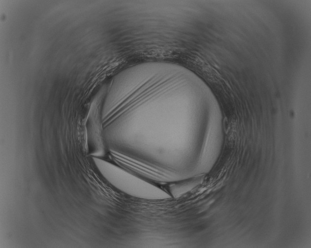 X0000087311202200705180937