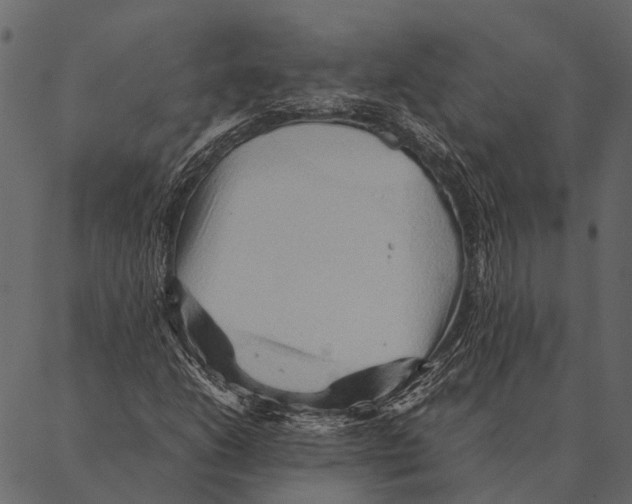 X0000087311206200705180937