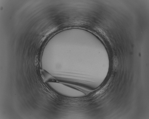 X0000087311210200705180937