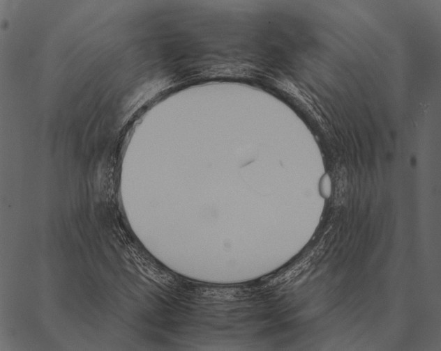 X0000087311211200705180937