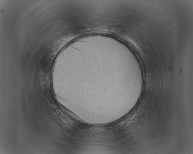 X0000087311212200705180937