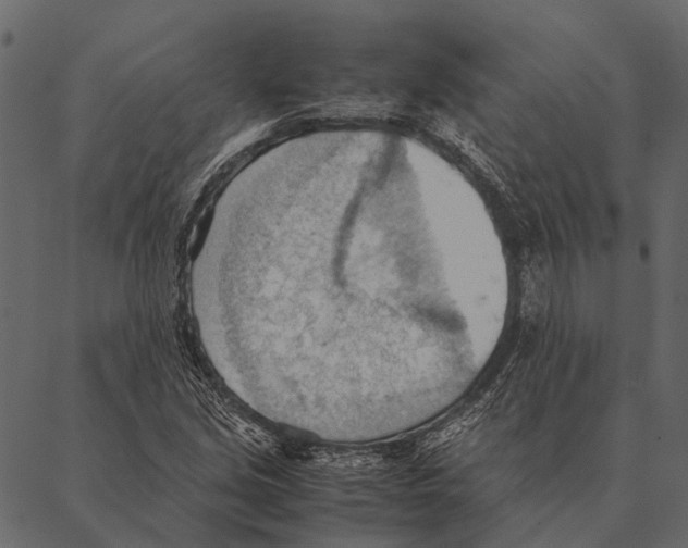 X0000087311213200705180937