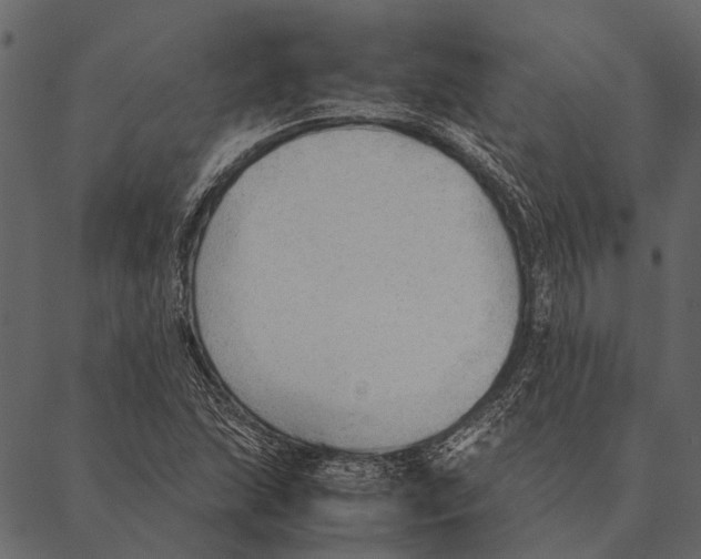 X0000087311215200705180937