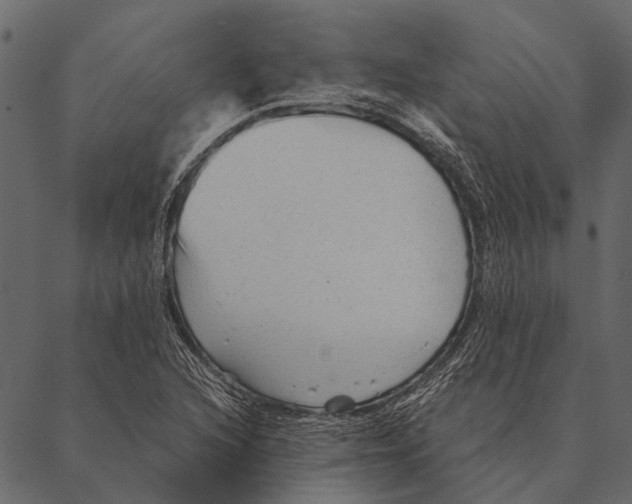 X0000087311216200705180937