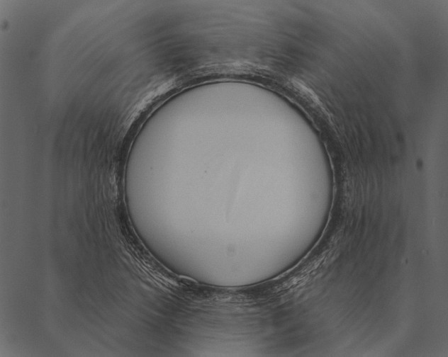 X0000087311218200705180937