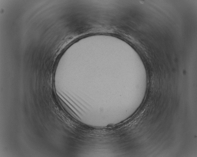 X0000087311220200705180937