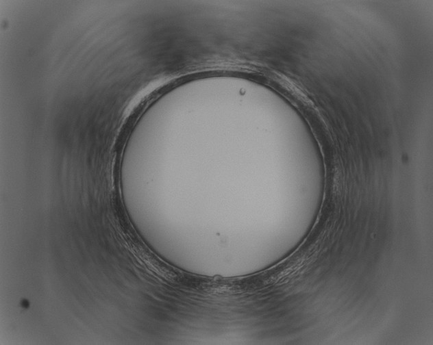 X0000087311222200705180937