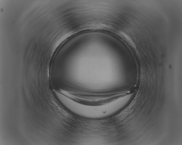 X0000087311226200705180938