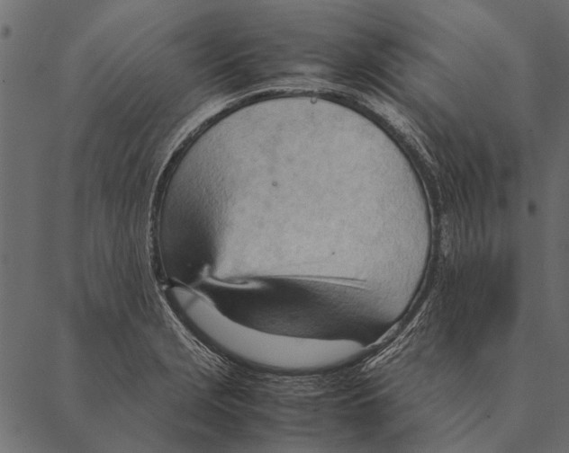 X0000087311229200705180938