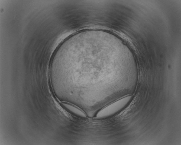 X0000087311231200705180938