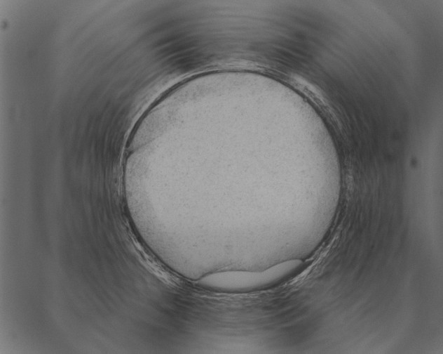 X0000087311236200705180938