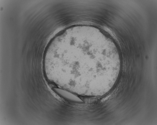 X0000087311237200705180938