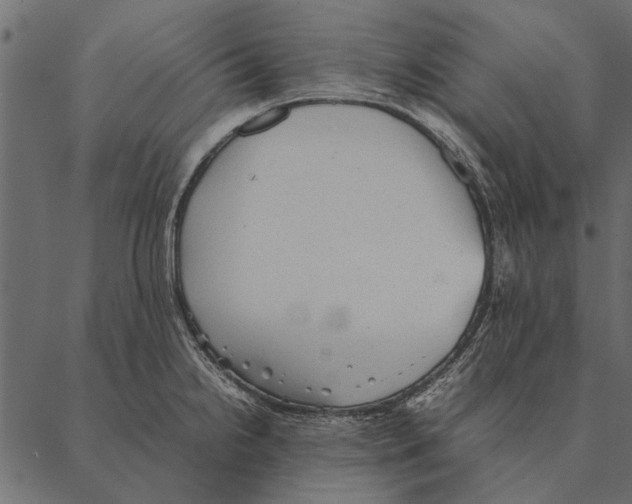 X0000087311238200705180938