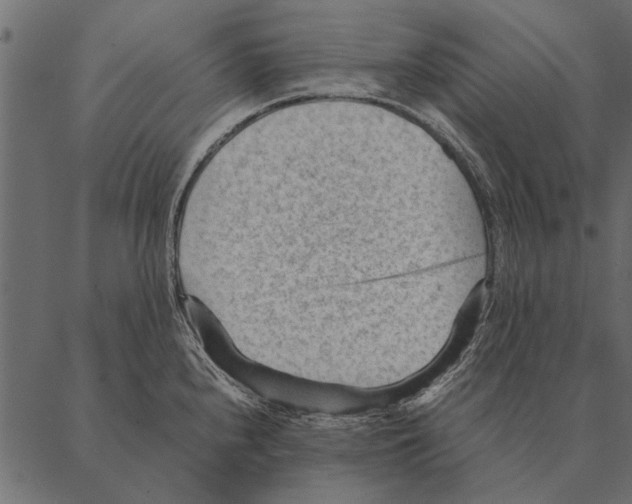 X0000087311240200705180938